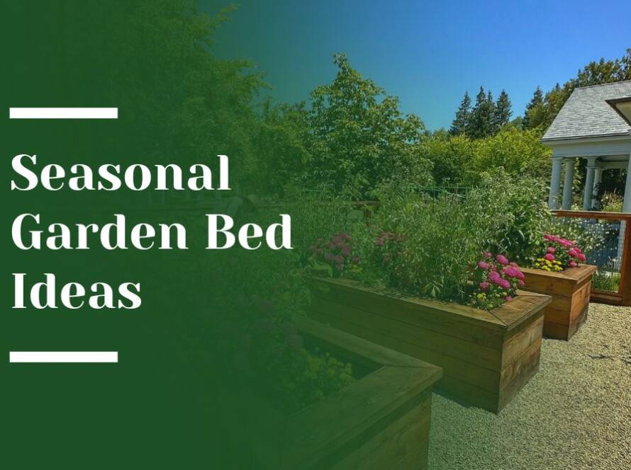 Seasonal Garden Beds Blog Image