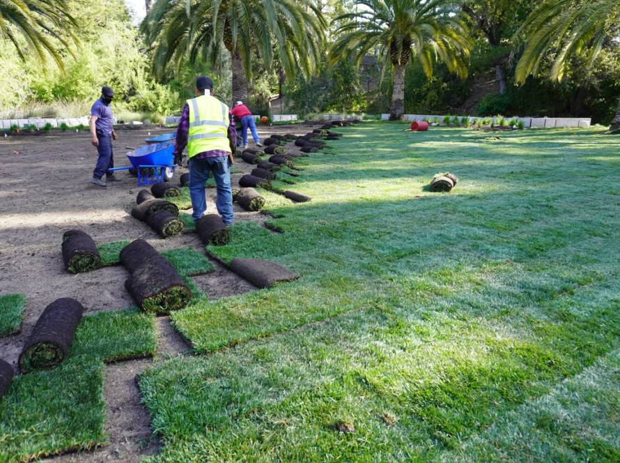 Sod Installation