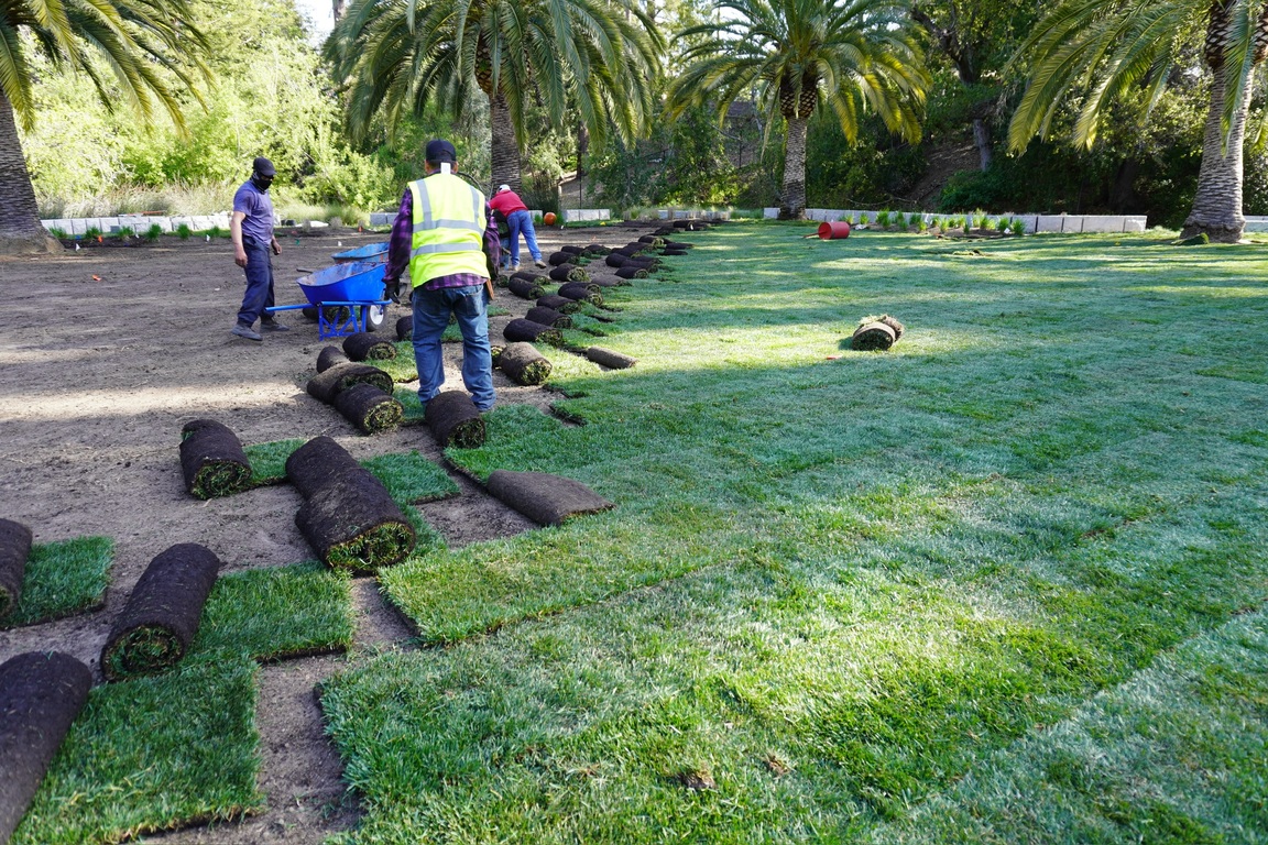 Sod Installation