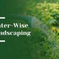 Water-Wise Landscaping Strategies for Luxury Gardens in Atherton