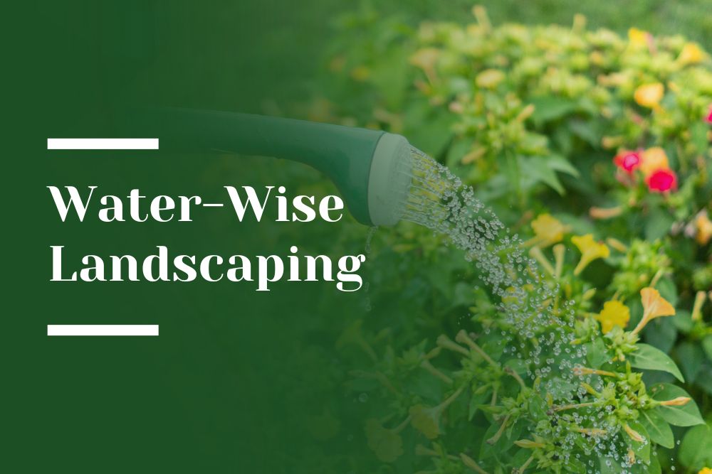 Watering Plants