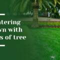 Do Trees Affect Your Luxury Lawn’s Water Needs in Woodside?