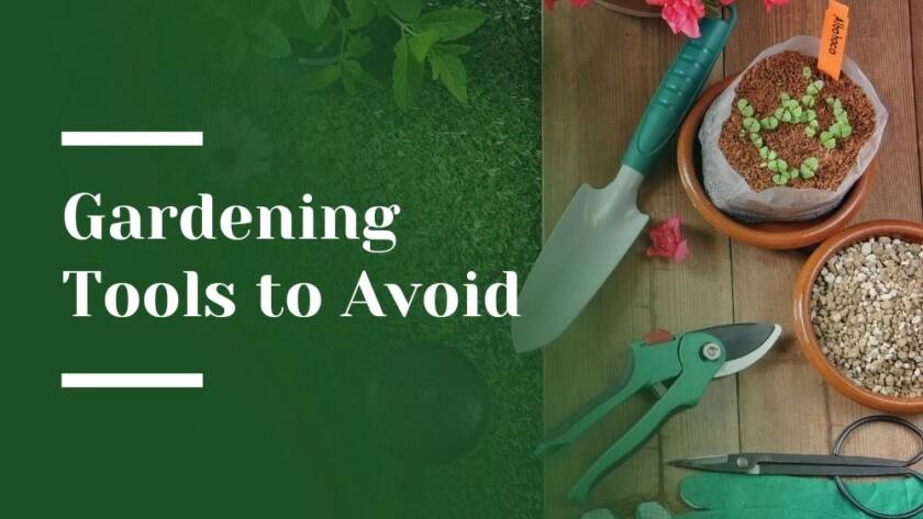 Gardening Tools to Avoid Blog Image