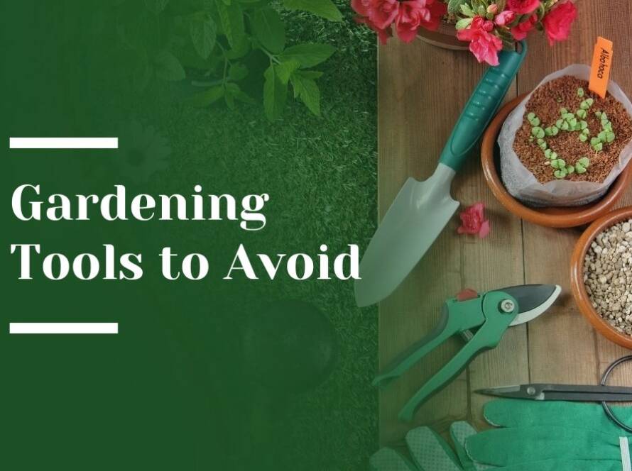Gardening Tools to Avoid Blog Image