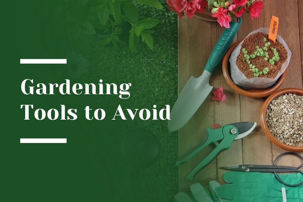 Gardening Tools to Avoid Blog Image