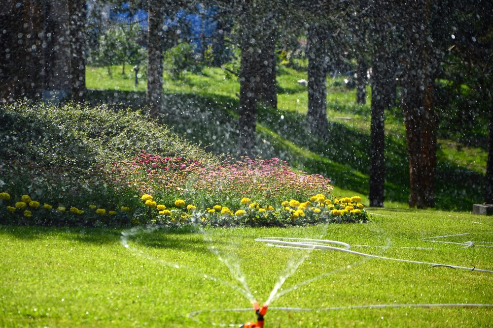 Lawn Irrigation