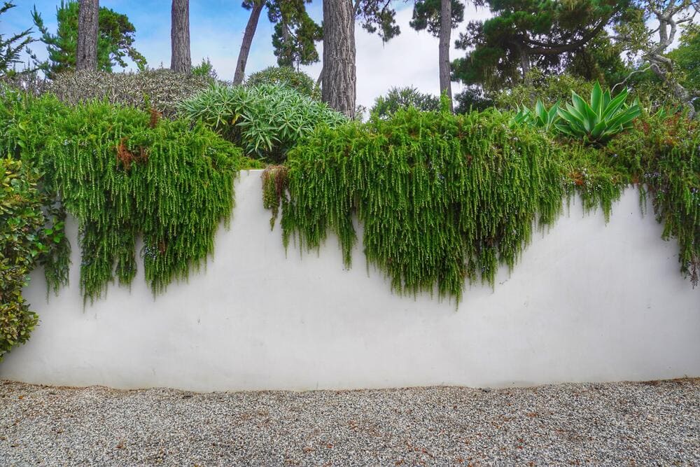 Costa Serena Luxury Landscape Design Atherton (1)