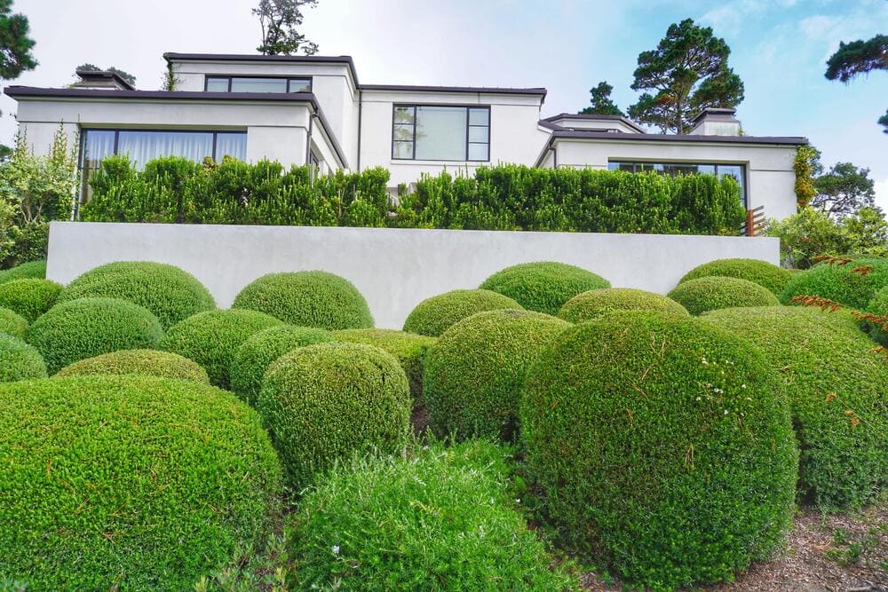 Costa Serena Luxury Landscape Design Atherton (2)