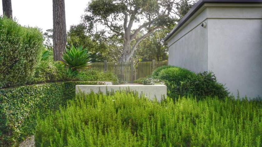 Lush, serene garden landscape.