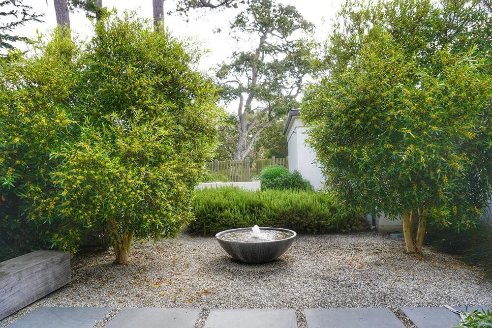 outdoor with modern water fountain
