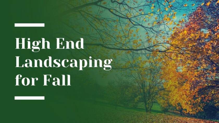 Landscaping Trends for Fall