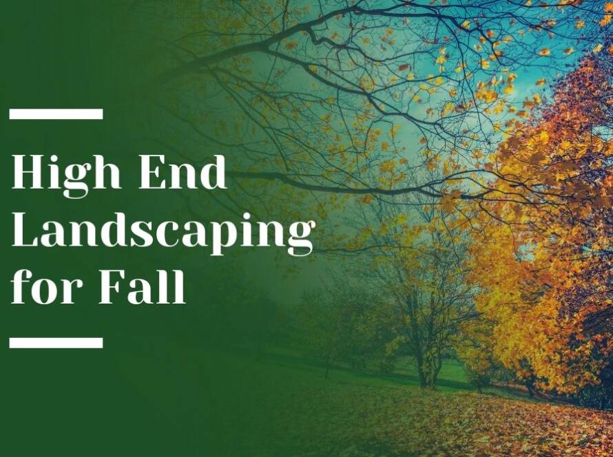Landscaping Trends for Fall