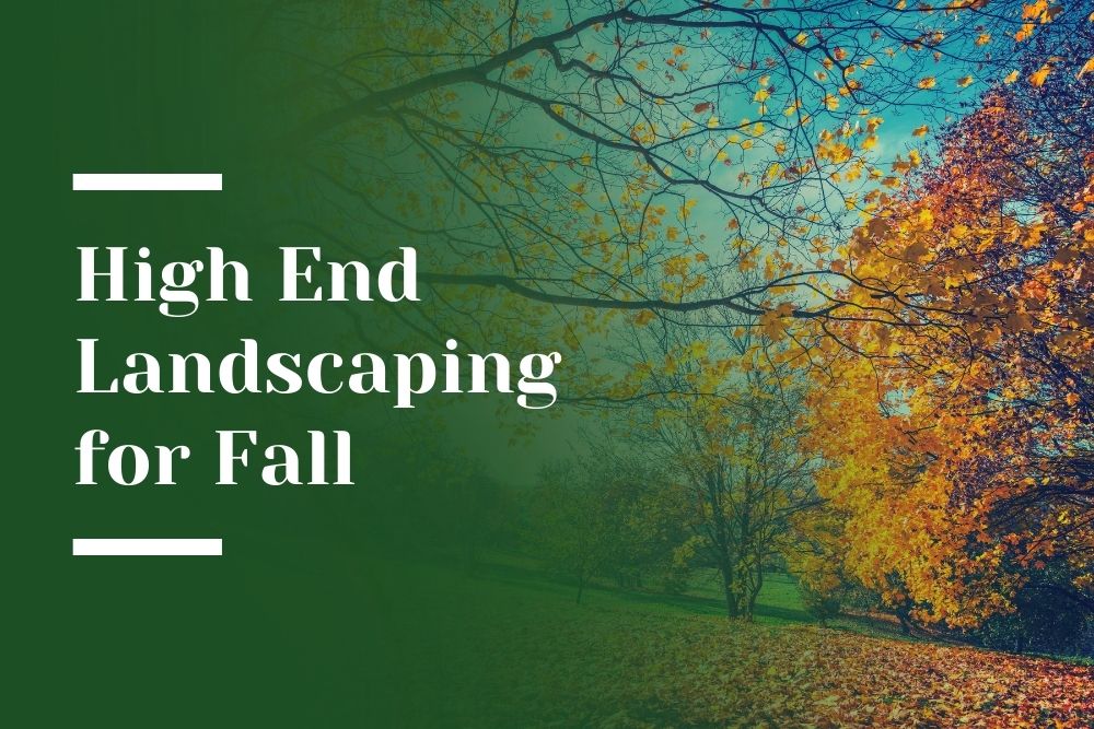 Landscaping Trends for Fall