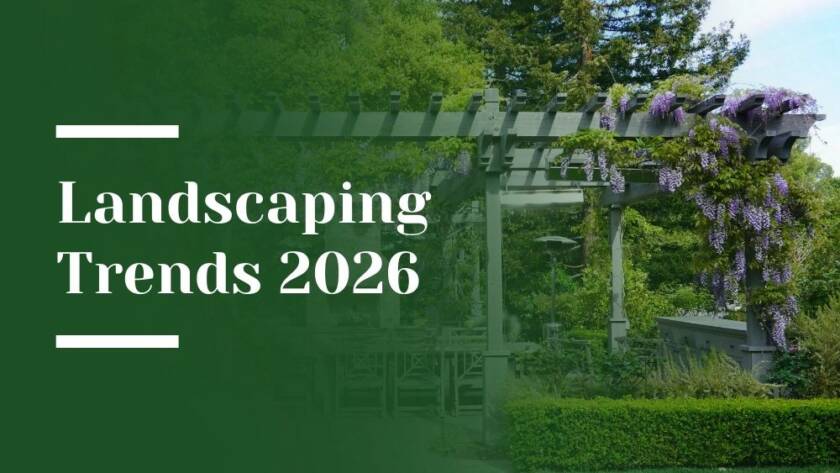 Top Landscaping Trends 2026