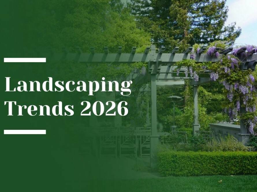Top Landscaping Trends 2026