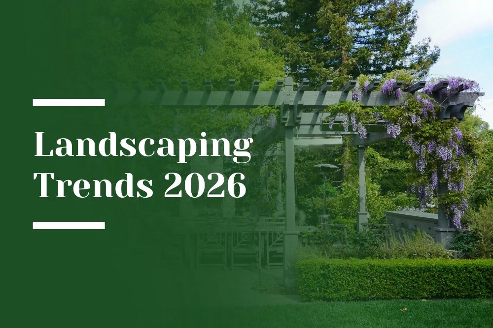 Top Landscaping Trends 2026