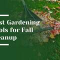 Best Gardening Tools for Fall Cleanup Bay Area: Must-Have Rakes, Loppers, and More