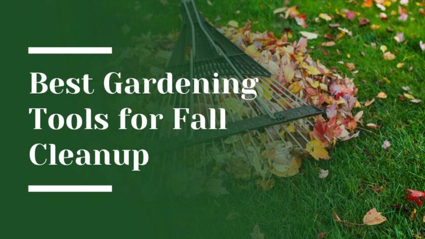 Best Gardening Tools for Fall Cleanup