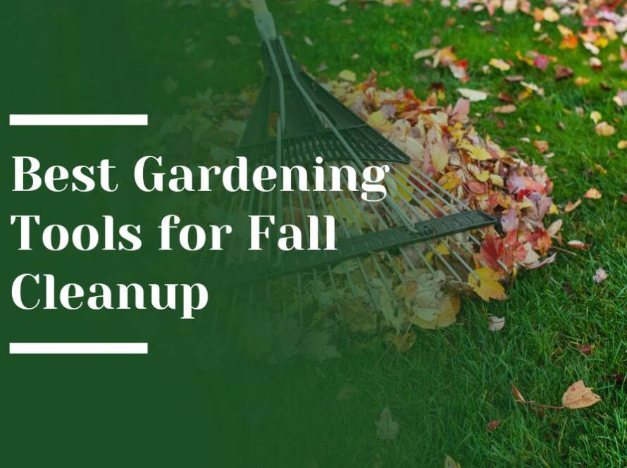 Best Gardening Tools for Fall Cleanup