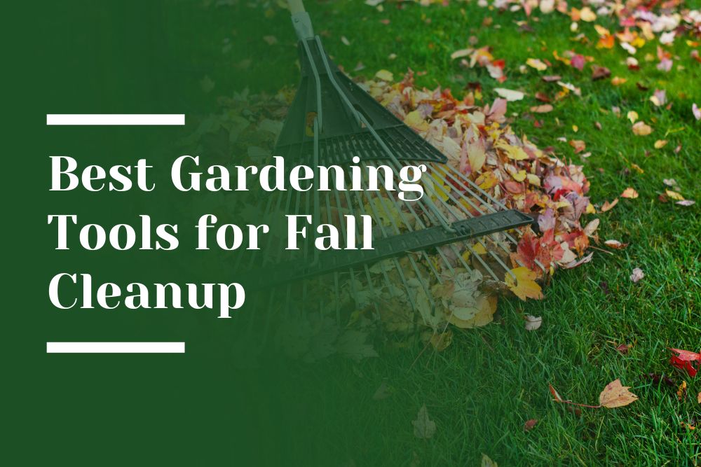 Best Gardening Tools for Fall Cleanup