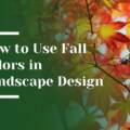 How to Use Fall Colors in Your Atherton Landscape Design