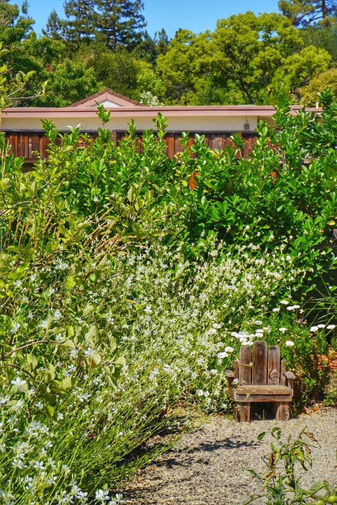 Stillwater Los Altos hills