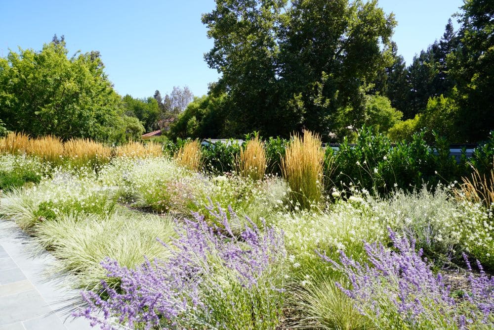 Stillwater Los Altos hills