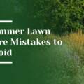 Summer Lawn Care Mistakes to Avoid: Expert Tips for Palo Alto Landscapes