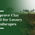 How to Improve Clay Soil in Bay Area Landscapes