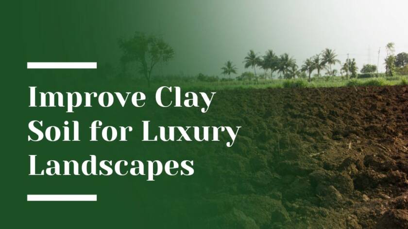 Clay Soil Blog Image