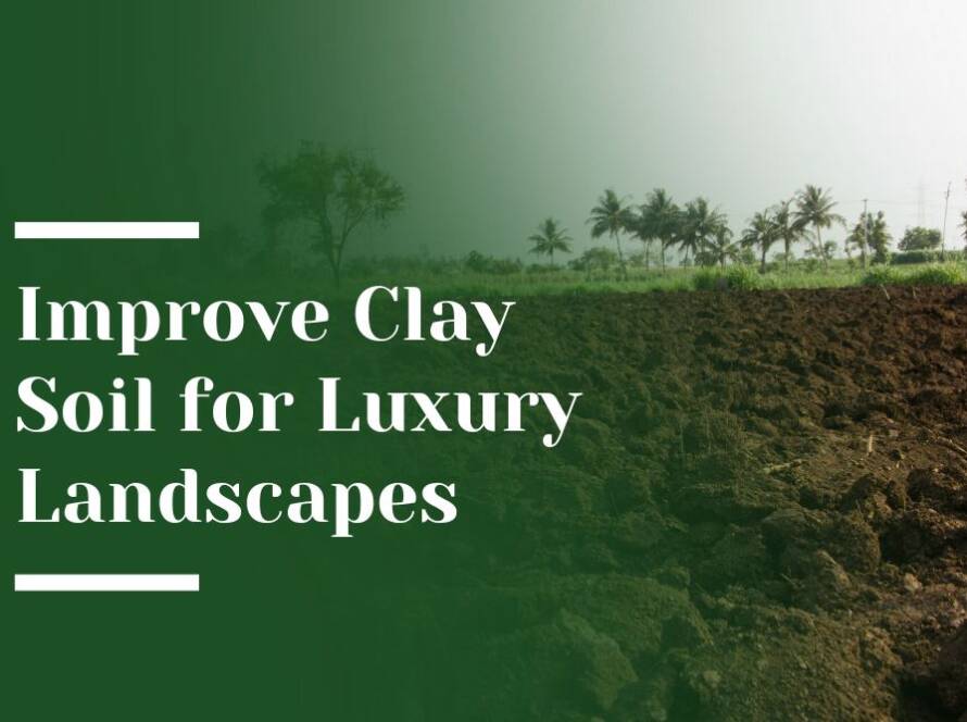 Clay Soil Blog Image
