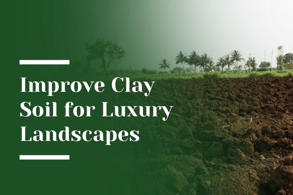 Clay Soil Blog Image