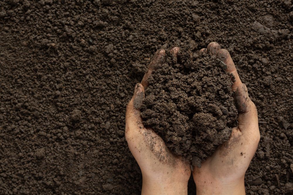Clay Soil