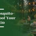 Why Mosquitoes Are Attracted to Your Patio in Woodside