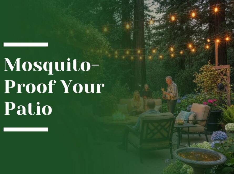 Mosquito-Proof Your Patio Blog Image