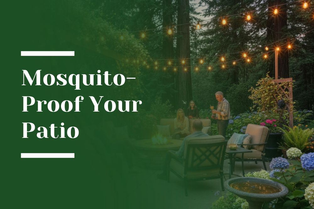 Mosquito-Proof Your Patio Blog Image