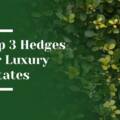 Top 3 hedges for Bay Area Luxury Estates