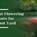 Best Flowering Plants for Front Yard Color in Saratoga Luxury Estates