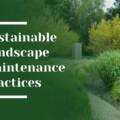 Sustainable Landscape Maintenance Practices for Carmel, CA Homes