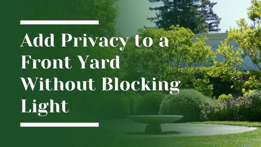 Privacy to a Front Yard Without Blocking Light