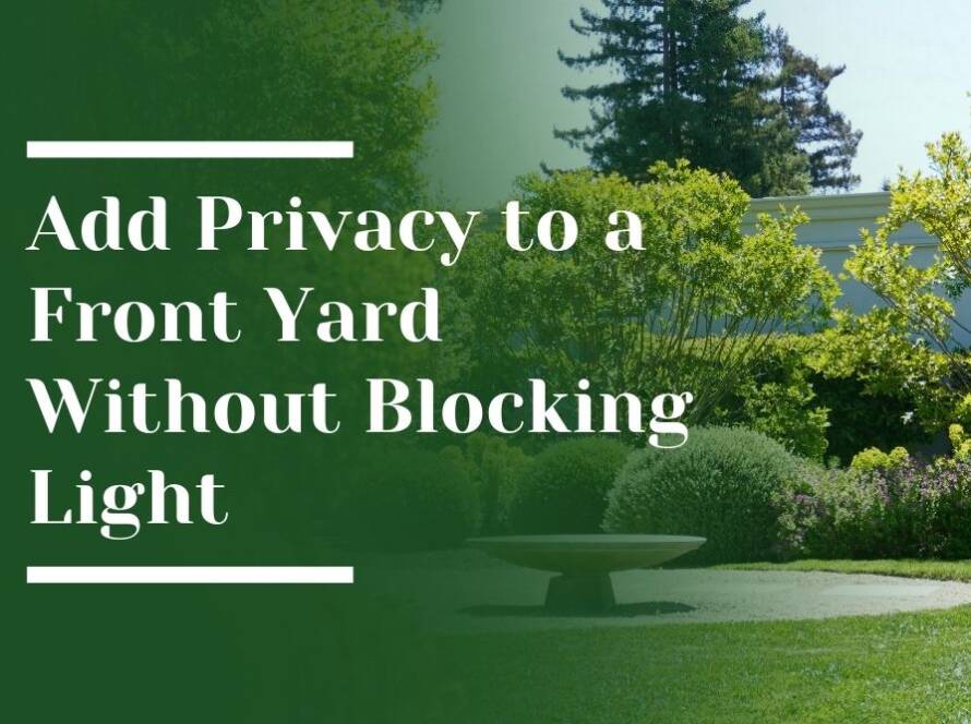 Privacy to a Front Yard Without Blocking Light