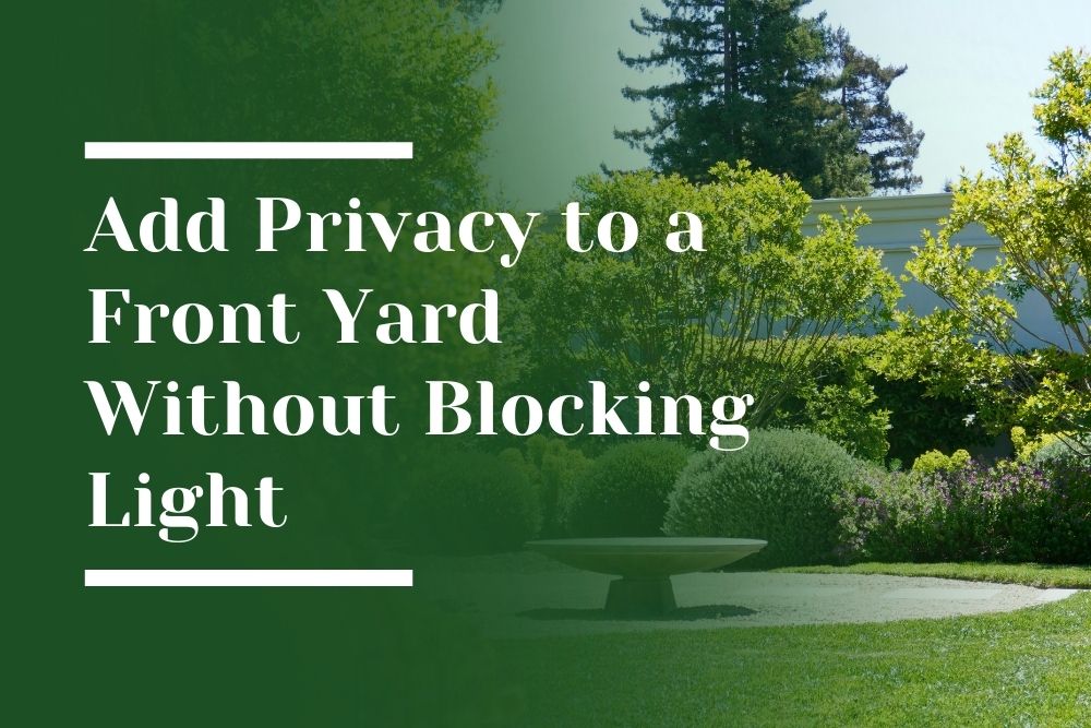 Privacy to a Front Yard Without Blocking Light