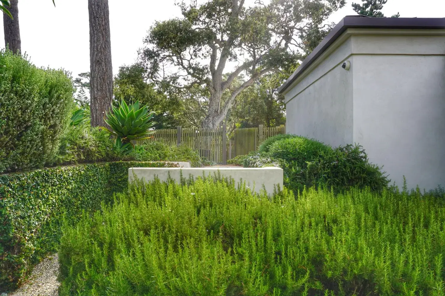 Costa Serena Landscape Design