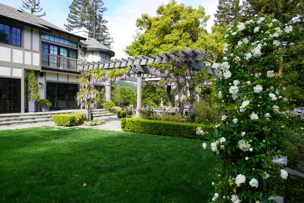 Lush Green Estate Backyard