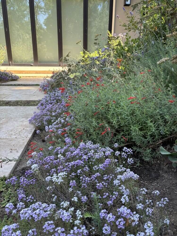 Tuscaloosa_Petrus_Landscape_IMG_0971