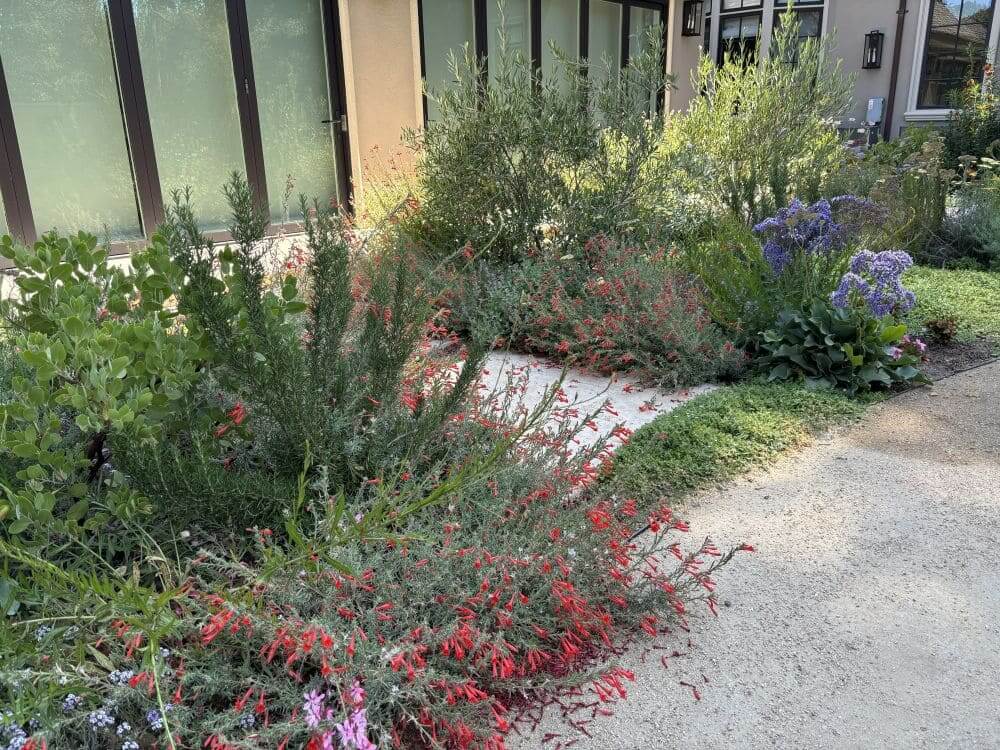 Tuscaloosa_Petrus_Landscape__IMG_0966