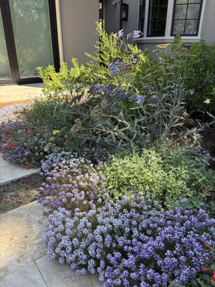 Tuscaloosa_Petrus_Landscape__IMG_0972