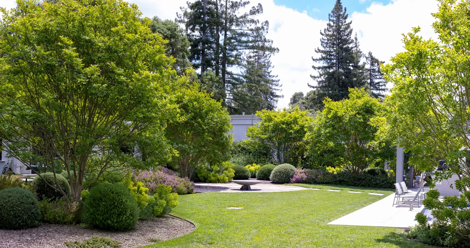 Vista Verde Landscape Design