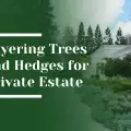 Layering Trees and Hedges for a Private Estate Garden in Saratoga