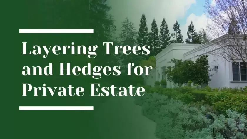 Layering Trees and Hedges for Private Estate garden Blog Image